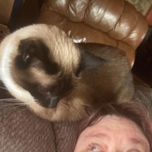 Meet your Posher, Michele